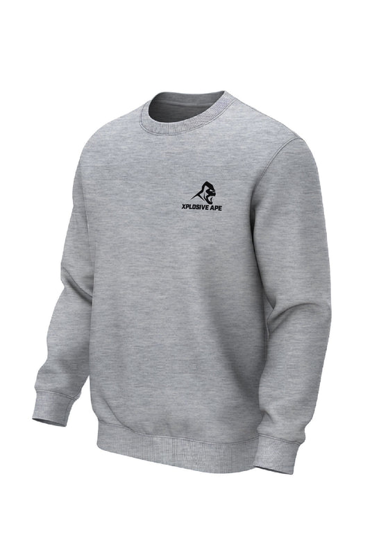 XAPE Classic Logo V3 Sweatshirt - Sports Grey