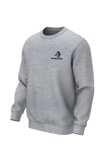 XAPE Futuristic V2 Sweatshirt - Sports Grey