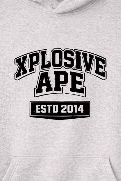 XAPE Classic Block Raglan Hoodie - Oatmeal Heather/Black
